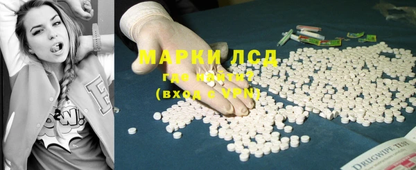 бошки Бородино