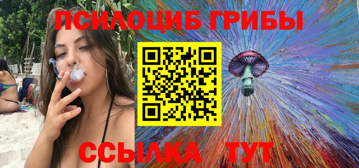 хочу   Ступино  Псилоцибиновые грибы Psilocybe  Галлюциногенные грибы GOLDEN TEACHER 