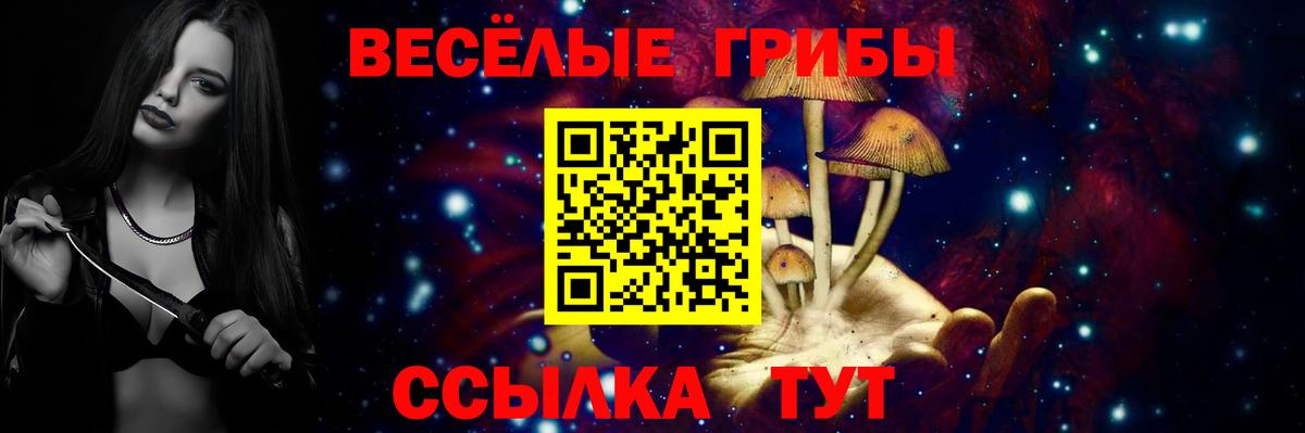 Ступино  Галлюциногенные грибы ЛСД  Псилоцибиновые грибы GOLDEN TEACHER  Вход с VPN 